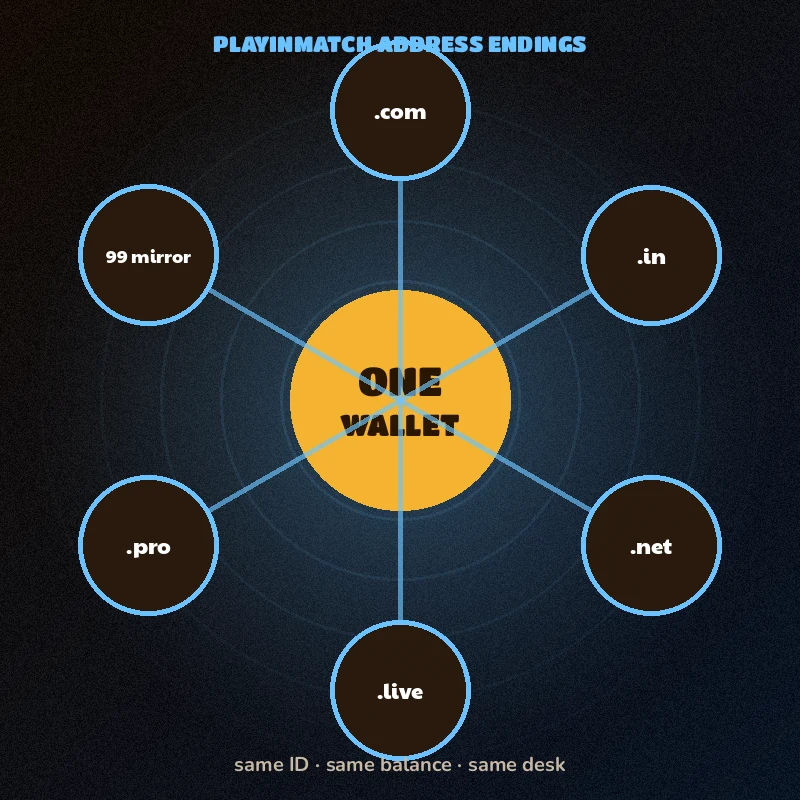 Ring chart of PlayinMatch address endings sharing one wallet
