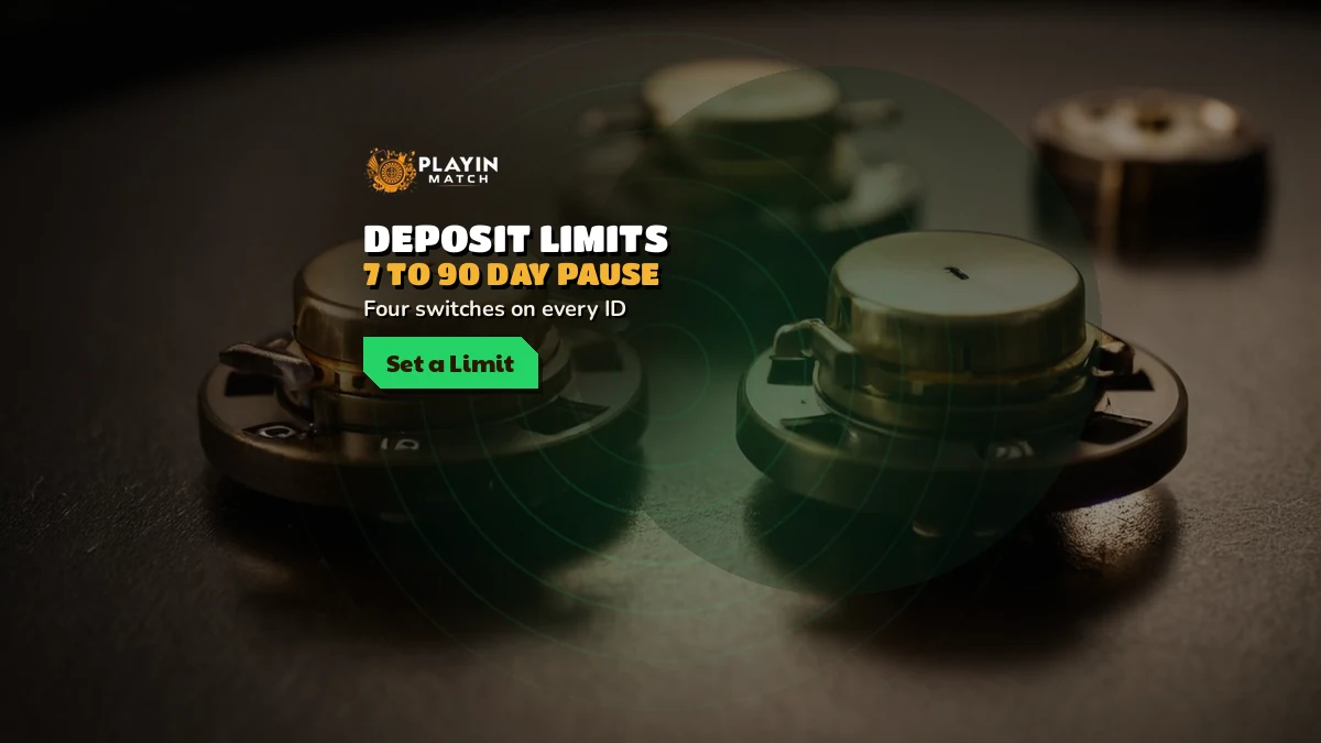 PlayinMatch limit controls drawn as a ring of four account switches