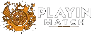PlayinMatch logo